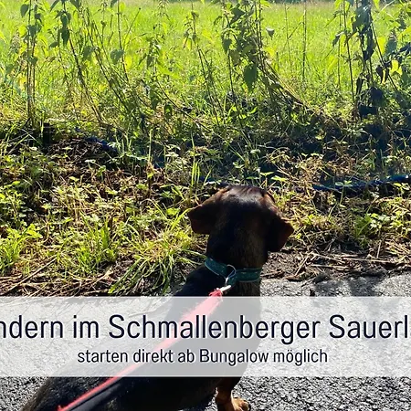 Casa de Férias Dackelglueck Schmallenberg