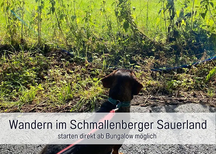 Semesterbostad Dackelglueck Schmallenberg